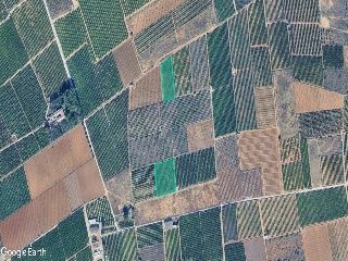 Suelo rústico en Partida Cardona 3