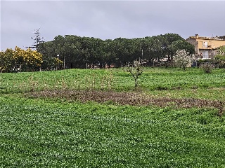 El Quinta De La Casa Nova ( Cl Panedes) 10