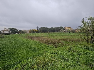 El Quinta De La Casa Nova ( Cl Panedes) 17