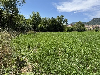 Torrent De Fornos 7