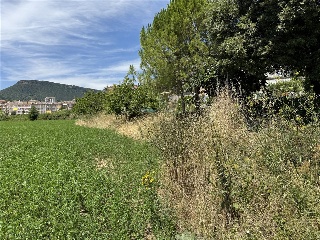 Torrent De Fornos 9