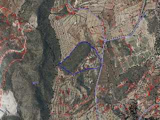 Paraje Partido Del Algarrobo Sector Zr-7 8