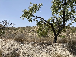 Paraje Partido Del Algarrobo Sector Zr-7 9