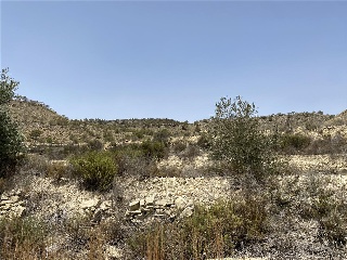 Paraje Partido Del Algarrobo Sector Zr-7 10