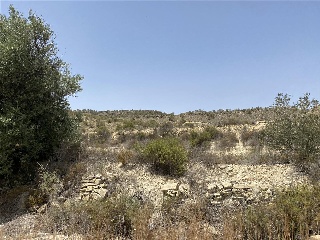 Paraje Partido Del Algarrobo Sector Zr-7 11