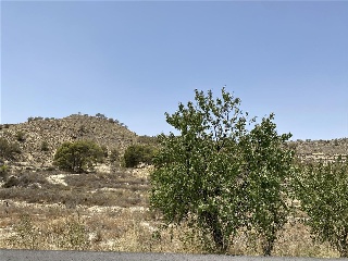 Paraje Partido Del Algarrobo Sector Zr-7 14