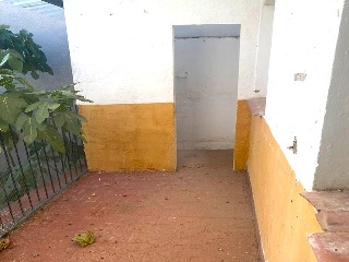 Constitucion 29