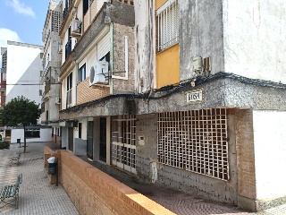 Rosa 9