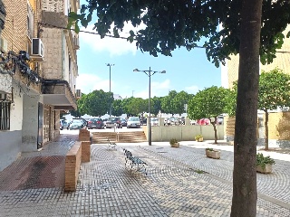 Rosa 10