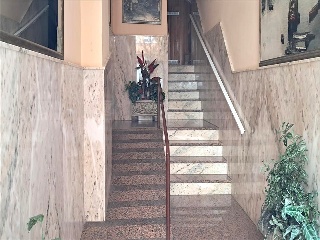 Concordia 7
