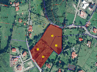 DE LA CORIA A SANTURIO 15