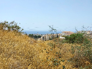 PARCELA 4-2 EN EL PAGO FUENTE DEL BADEN 19