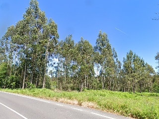 LOUREIROS, PARCELA 15