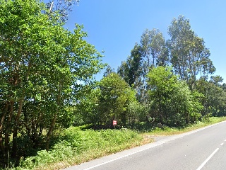 LOUREIROS, PARCELA 18