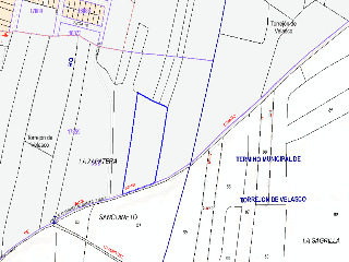 DE SANTA JUANA (POLIGONO 5, PARCELA 50, S-14) 11