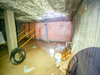 ROSALIA DE CASTRO 13