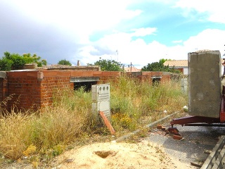 Huerta 11