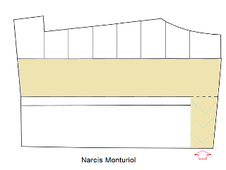 NARCIS MONTURIOL 21