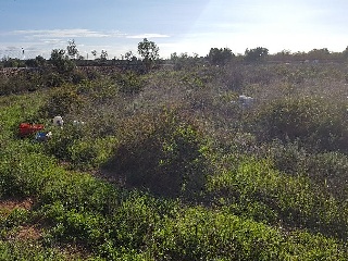 Chalet en C/ Camí de S´aguila, Llucmajor (Illes Balears) 5