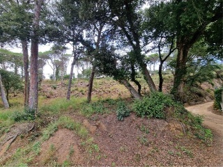 Finca rústica con edificación en Dosrius - Barcelona - 6