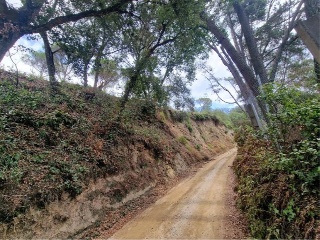 Finca rústica con edificación en Dosrius - Barcelona - 7