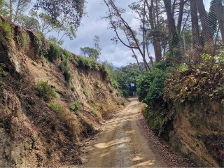 Finca rústica con edificación en Dosrius - Barcelona - 8