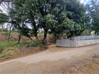 Finca rústica con edificación en Dosrius - Barcelona - 9