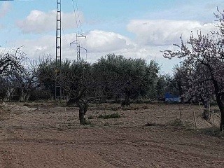 Suelo rústico en C/ Pago de Los Serranos, Vélez-Rubio (Almería) 8