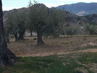 Suelo rústico en C/ Pago de Los Serranos, Vélez-Rubio (Almería) 10