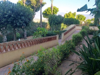 Pisos en Av Cerrillos - Roquetas de Mar - Almería 2