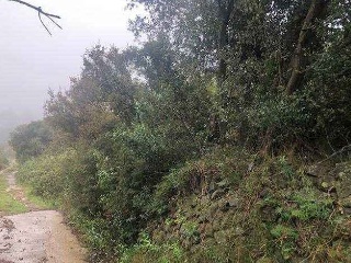 Finca rústica con edificación en Alforja - Tarragona - 7