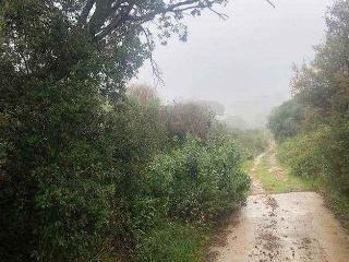 Finca rústica con edificación en Alforja - Tarragona - 8