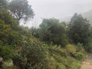 Finca rústica con edificación en Alforja - Tarragona - 10