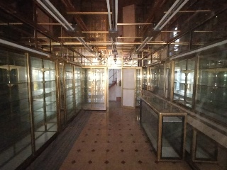 Local en Av de Alemania, San Bartolomé de Tirajana (Las Palmas) 4