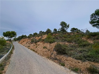 Anton 9
