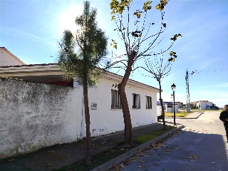 Constitucion 5