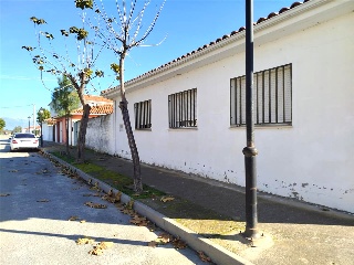Constitucion 6