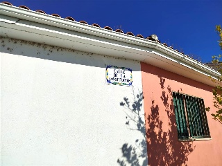 Constitucion 7