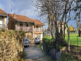 Argomilla 5
