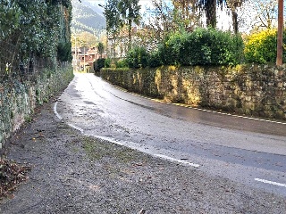 Argomilla 8