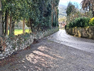 Argomilla 9