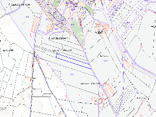 Paraje Del Olivar Del Convento 7