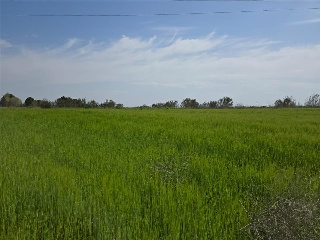 Paraje Del Olivar Del Convento 8