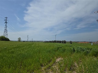 Paraje Del Olivar Del Convento 9