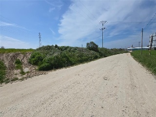 Paraje Del Olivar Del Convento 10