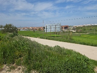 Paraje Del Olivar Del Convento 11