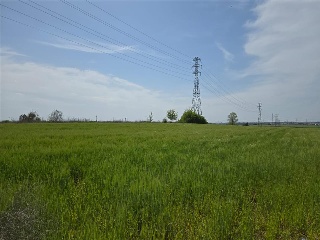 Paraje Del Olivar Del Convento 12