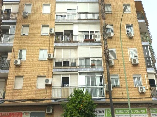 8 De Marzo 4