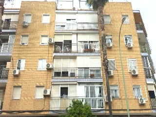 8 De Marzo 5