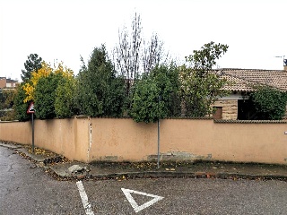 Arce 7